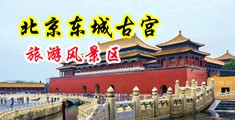 日本猛男互相捅菊花网站中国北京-东城古宫旅游风景区